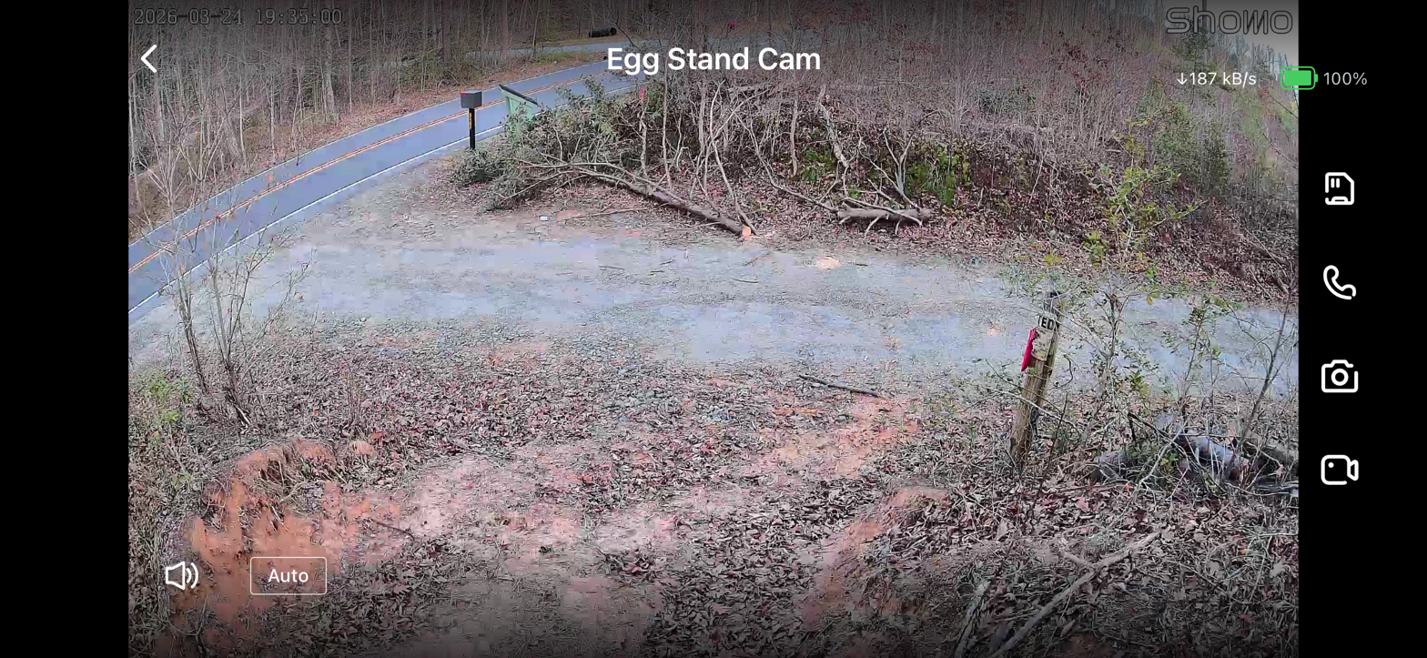 Egg Stand Cam view showing the farmstand area and driveway